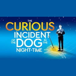 downtown new braunfels circle arts theatre the curious incident of the dog in the night time